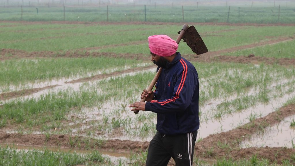 IMD, IMD Rain Forecast, Weather Forecast