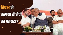 लोकसभा चुनाव 2024: इन चार राज्‍यों में नहीं रहा I.N.D.I.A., प‍िछली बार 81 में से 23 सीटें जीती थी BJP