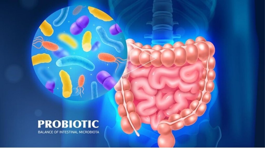 fibre in food, healthy diet, stomach, gut health, diarrhoea, bloating, cramping or constipation, irritable bowel syndrome, ibs, good food, healthy diet