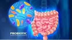 क्या आप पेट दर्द और आंतों की सूजन से जूझ रहे हैं, इस 1 खास तरह के फूड को डाइट में कर लें शामिल, रिसर्च से जानिए इस खास Diet के फायदे