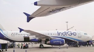 Indigo Flight