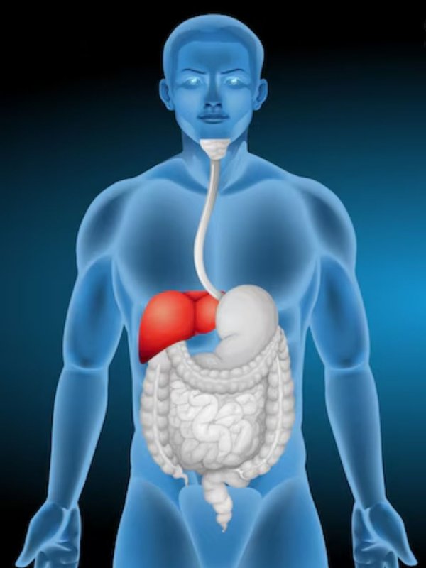 Liver Health । Liver Damage । Liver Damage Symptoms