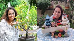 दुनिया मेरे आगे: आभासी दुनिया से बाहर निकल कर प्रकृति के साथ जीने का उठाएं आनंद