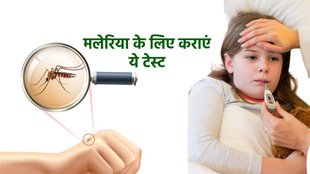 world malaria day history, world malaria day significance, how to protect malaria, tips to prevent malaria, CBC test for malaria, platelets in malaria,