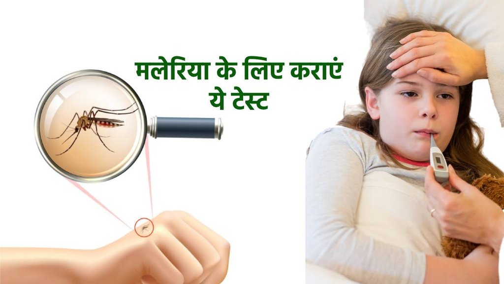 world malaria day history, world malaria day significance, how to protect malaria, tips to prevent malaria, CBC test for malaria, platelets in malaria,