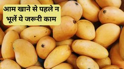 Mango Eating Tips: गर्मियों में आम खाने से पहले जरूर करें ये 1 काम, दोगुने स्वाद के साथ सेहत को भी मिलेगा फायदा, एक्सपर्टस से जानें क्यों है जरूरी