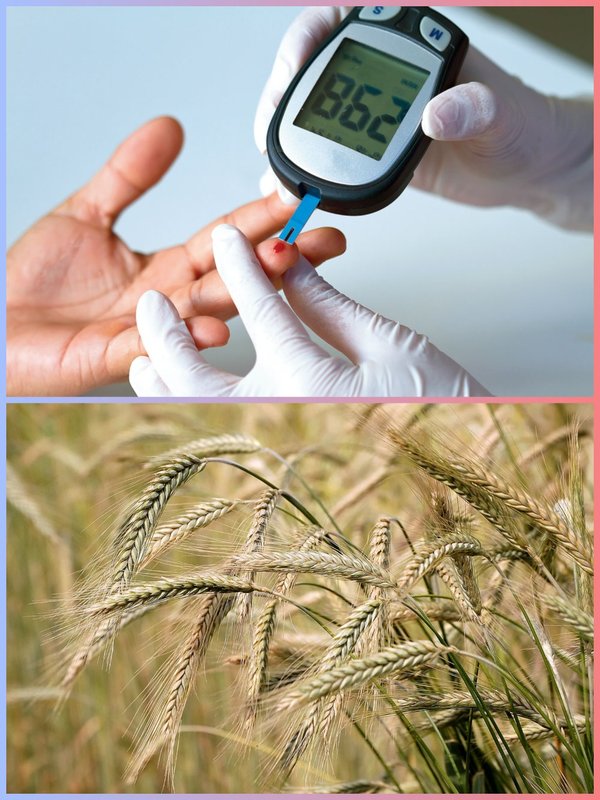 jau ka sattu benefits for diabetes