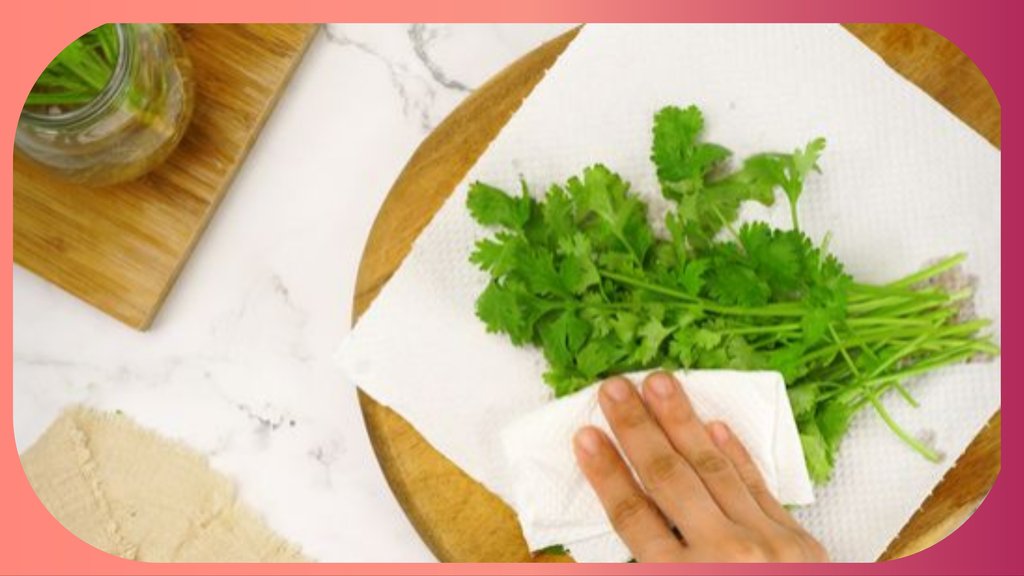 How long does coriander stay fresh in the fridge