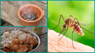 easy homemade mosquito repellent