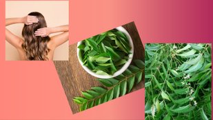 curry neem leaf oil