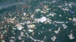 Ocean Pollution, Blog, Pollution