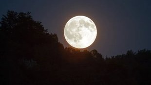 pink moon, pink full moon, pink moon 2024, pink moon april 2024,