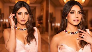 Priyanka Chopra On Hollywood Struggle