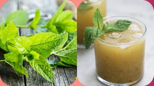 pudina ka panna | summer drinks recipe