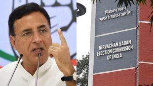 Randeep Singh Surjewala | Lok Sabha Elections 2024 | Hema Malini | Congress