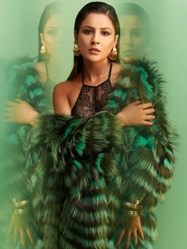 Shehnaaz Gill Sexy Pics