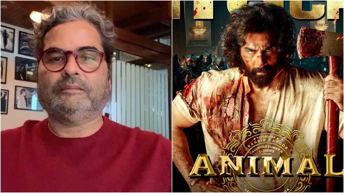 animal movie, bollywood