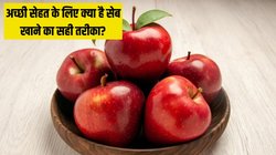 छिलके समेत या छीलकर, क्या है सेब खाने का सबसे अच्छा तरीका? किस तरह खाने पर मिलता है ज्यादा फायदा एक्सपर्ट्स से जानें