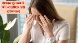 शरीर फूल कर कुप्पा बना हुआ है लेकिन बॉडी में कमजोरी बेहद है, इन आयुर्वेदिक उपायों को अपना लें, अंग-अंग में भर जाएगी फुर्ती और एनर्जी