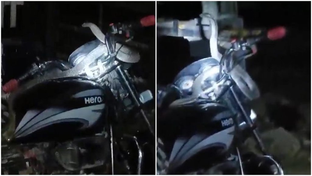 bike snake, Viral Video, Trending Video, बाइक सांप, रेलवे क्रॉसिंग