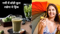 समर में बॉडी कूल रखने के लिए रामबाण इलाज है ये शरबत, इस सुपर पावरफुल ड्रिंक का रोजाना करें सेवन, पाचन दुरुस्त रहेगा और गर्मी की बीमारियों से मिलेगी निजात