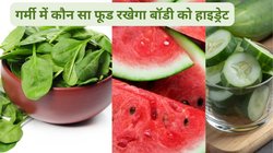 क्या तरबूज़, खीरा और पालक गर्मी में बॉडी को रख सकते हैं हाइड्रेट? बॉडी में पानी की कमी को पूरा करने के लिए कौन से फूड्स खाएं, एक्सपर्ट से जानते है Water Rich फूड लिस्ट