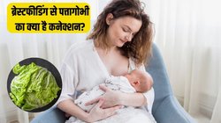 Breastfeeding Tips: क्या ब्रेस्ट पर पत्तागोभी लगाने से वाकई कम हो जाती है सूजन और दर्द की परेशानी? जानें स्तनपान कराने वाली महिलाओं के लिए कितना सेफ है ये तरीका