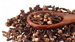 रोज 2 लौंग चबाने से बॉडी किस तरह करती है रिएक्ट, क्या ये मसाला पाचन के लिए ठीक है? जानिए एक्सपर्ट की राय