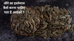 क्या जीरे का सेवन बाजार से लाकर सीधा करना ठीक है? एक्सपर्ट से जानते हैं कि Cumin Seeds का सेवन कैसे करें