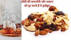गर्मी में दूध के साथ इन 3 ड्राईफ्रूट का करें सेवन, हड्डियां हो जाएंगी फौलाद की तरह मज़बूत, बॉडी की कमजोरी और थकान भी होगी छूमंतर