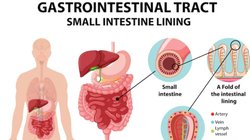 कब्ज और गैस से परेशान रहते हैं, पेट फूलकर कुप्पा बन जाता है, अजवाइन और नींबू को 7 दिनों तक करें इस तरह तैयार और रोज़ाना करें सेवन