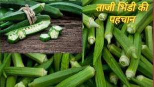 bhindi khareedne ka tarika | Kitchen Tips
