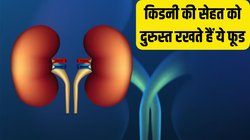 Diet for Kidney: किडनी के लिए क्लींजर की तरह काम करते हैं ये फूड, गुर्दे से जुड़ी कई बीमारियों के खतरे को कर सकते हैं कम, आज ही बना लें डाइट का हिस्सा