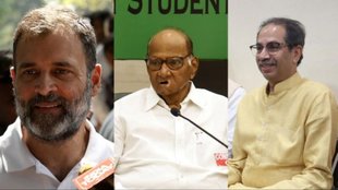 Lok Sabha Elections, Lok Sabha Elections 2024, Elections 2024,