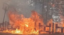 नैनीताल के जंगलों में लगी आग हुई बेकाबू, मदद के लिए जमीन पर उतरी सेना, हेलीकॉप्टर भी बुलाए गए