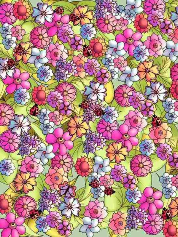 optical illusion images