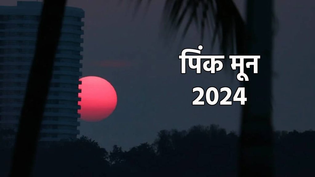 pink full moon, pink full moon 2024, pink full moon 2024 timings, pink full moon 2024 date and time in india,