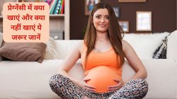 Pregnancy Diet Plan: प्रेग्नेंसी के 8 हफ्तों में क्या खाएं और क्या नहीं खाएं, इस दौरान महिलाओं का Diet Chart कैसा होना चाहिए, एक्सपर्ट से जानिए