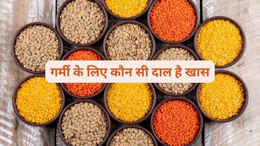दालें पोषक तत्वों का खज़ाना है। इसमें एंटीऑक्सीडेंट गुण मौजूद होते हैं जो कैंसर जैसी बीामारी से भी बचाव करता हैं। freepik