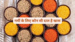 गर्मी में बॉडी को कूल रखेंगी ये खास 4 दालें, दिन में दो बार जरूर खाएं, कमजोरी होगी दूर और पाचन रहेगा दुरुस्त