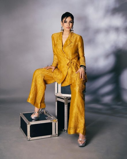 raveena tandon films