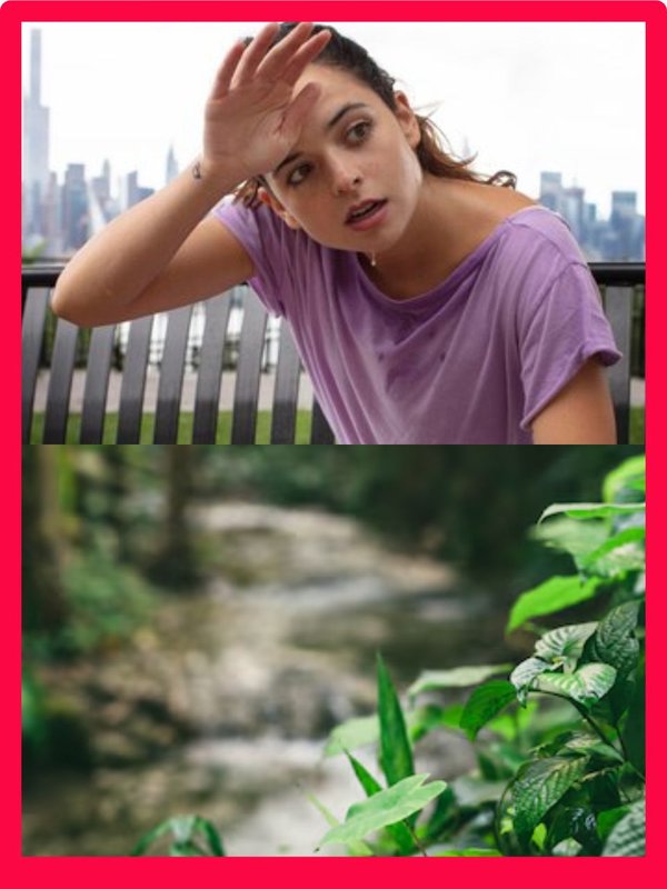 cooling herbs ayurveda । cooling herbs list । how to reduce body heat immediately