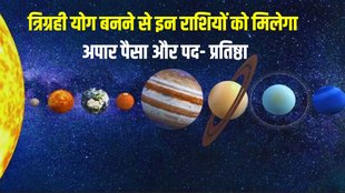 tirgrahi yog in meen, tirgrahi yog in meen 2024,