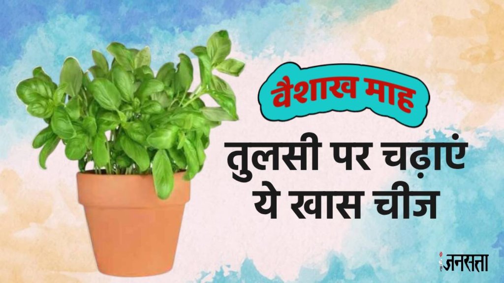 Vaishakh Maas 2024,Vaishakh Maas 2024 date, tulsi upay, tulsi ke upay, tulsi ke totke,