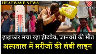 Heat Wave Weather Update: Mainpuri Hospital में मरीजों का तांता, दम घुटने के कारण हुई जानवरों की मौत