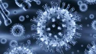 Bactaria| disease