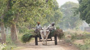 Bool cart| Farmer |Delhi