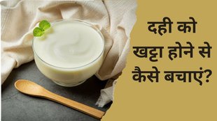 how to remove sourness from curd । prevent curd sour । Kitchen hacks