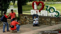 दिल्ली चिड़ियाघर: गर्मी के चलते पर्यटकों के आने-जाने के समय में बदलाव, अब इतने बजे तक देख सकेंगे वन्यजीव