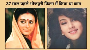 Tv Actress Dipika Chikhalia, Dipika Chikhalia, Dipika Chikhalia B Grade Movies
